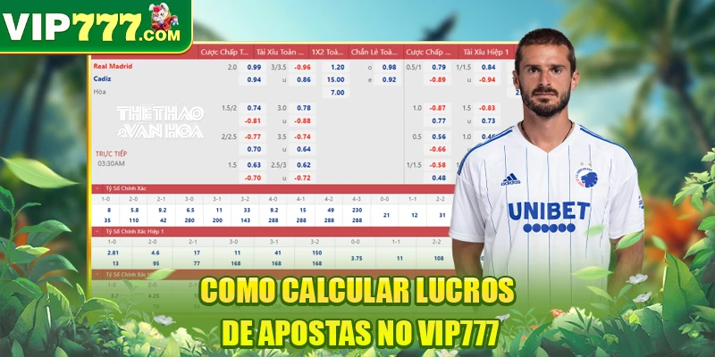 Como calcular lucros de apostas no VIP777