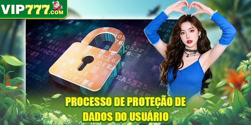 Processo de proteção de dados do usuário